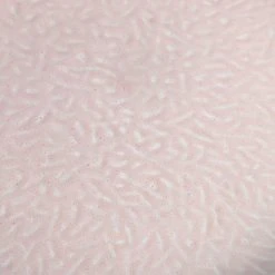 Leonardo Tellerset MATERA 12-teilig Rosé Keramik -Le Creuset shop 221 026050 5 K