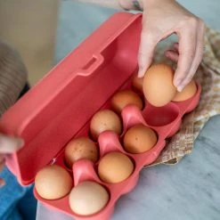 Koziol Eierbox In Coral -Le Creuset shop 7179 EGGS TO GO 704 full 3