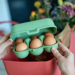 Koziol Eierbox In Grün -Le Creuset shop 7186 EGGS TO GO MINI shop 14