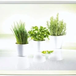 Emsa Tablett Classic Herbs